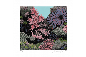 Podmořská zahrádka